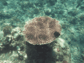 CRW_4542.jpg