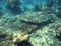 CRW_4566.jpg