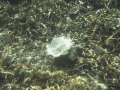 CRW_4582.jpg