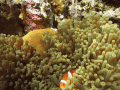 CRW_4589.jpg