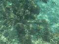 CRW_4597.jpg