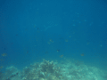 CRW_4600.jpg