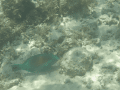 CRW_4637.jpg