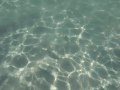 CRW_4650.jpg