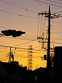 CRW_4882.jpg