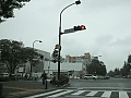CRW_4905.jpg