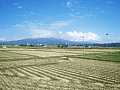 CRW_5155.jpg
