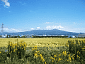 CRW_5163.jpg