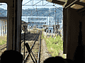 CRW_5167.jpg