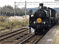CRW_5191.jpg