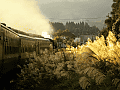 CRW_5298.jpg