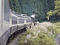 CRW_5313.jpg