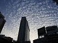 CRW_6012.jpg