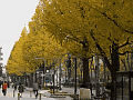 CRW_6071.jpg