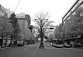 CRW_6075_L.jpg