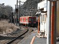 CRW_6872.jpg