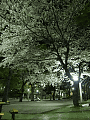 CRW_7890.jpg
