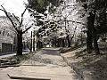 CRW_8111.jpg