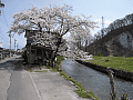 CRW_8116.jpg