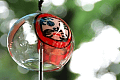 IMG_6107.gif