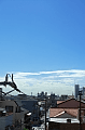 IMG_6485.gif