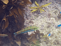 CRW_0533.gif