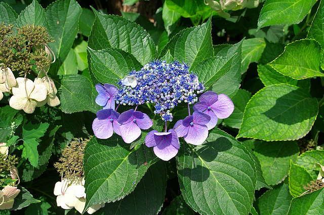 IMG_8813.jpg