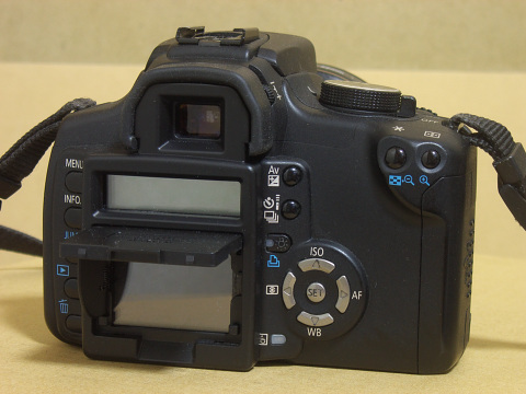 CRW_1387.jpg