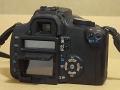 CRW_1387.gif