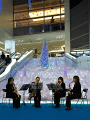 IMG_1001.gif