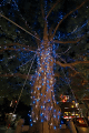IMG_1035.gif