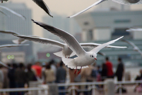 IMG_1172.jpg