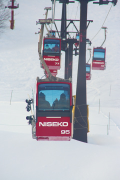 IMG_4985.jpg