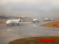 CRW_4463.gif