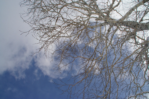 IMG_5080.jpg