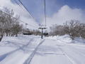 CRW_4576.gif