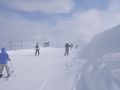 CRW_4578.gif