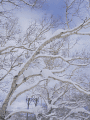 CRW_4586.gif