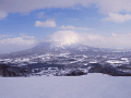 CRW_4616.gif