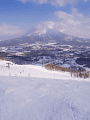 CRW_4629.gif