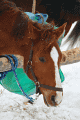IMG_5047.gif