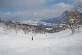 IMG_5077.gif