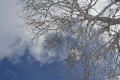 IMG_5080.gif