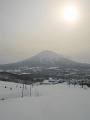 CRW_4646.gif