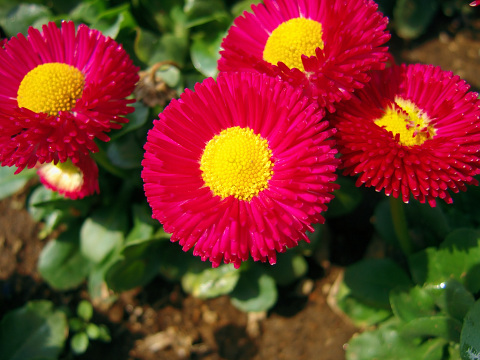 CRW_4699.jpg