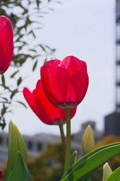 IMG_6099_2.jpg