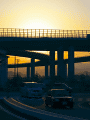 CRW_5166.gif