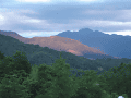 CRW_5451.gif