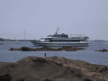 CRW_5554.gif