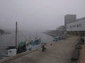 CRW_5632.gif